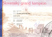 Galanka Grandchampion SK